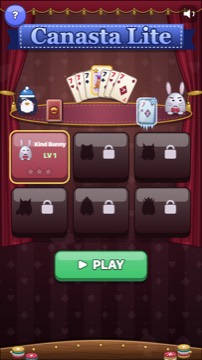 Canasta Lite